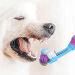 Escova de Dentes Três Lados  PetSmile  imagem cão 